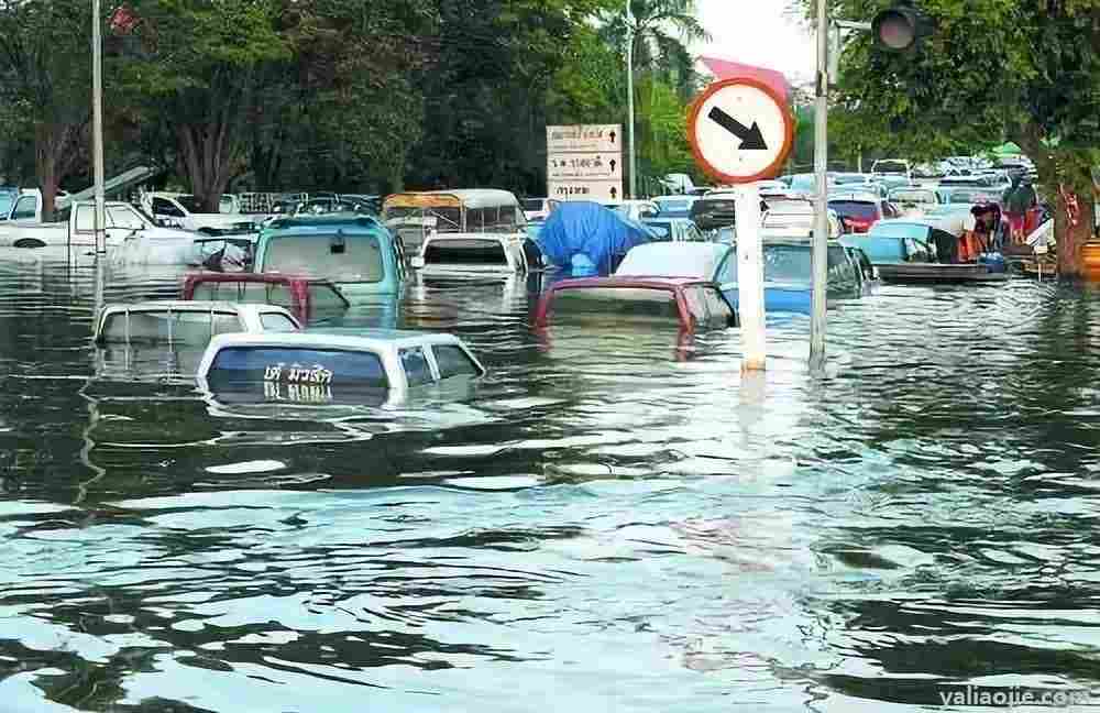 洪水过后为什么有瘟疫？洪水过后为什么会有瘟疫